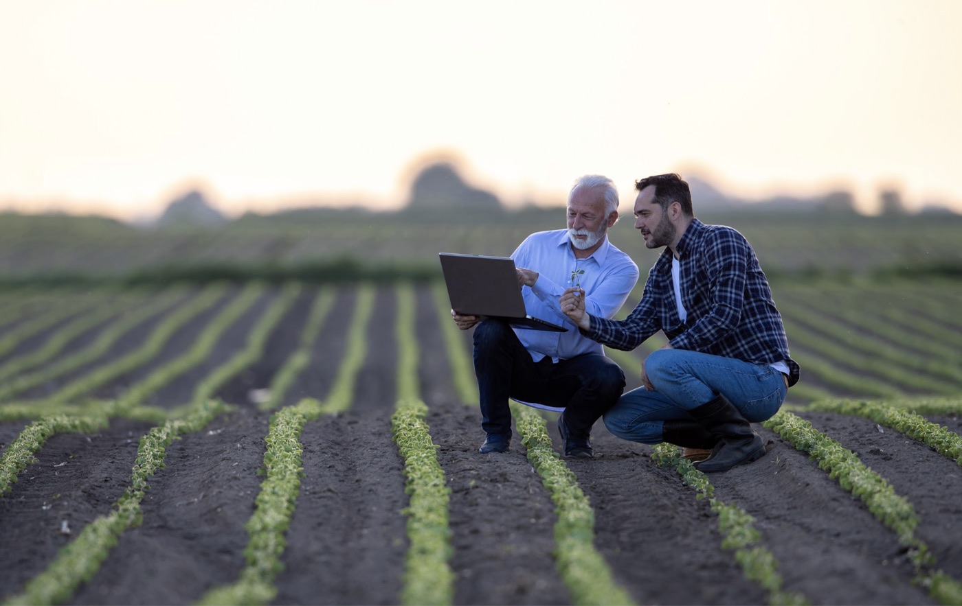Arable team member and grower reviewing field data together in the field