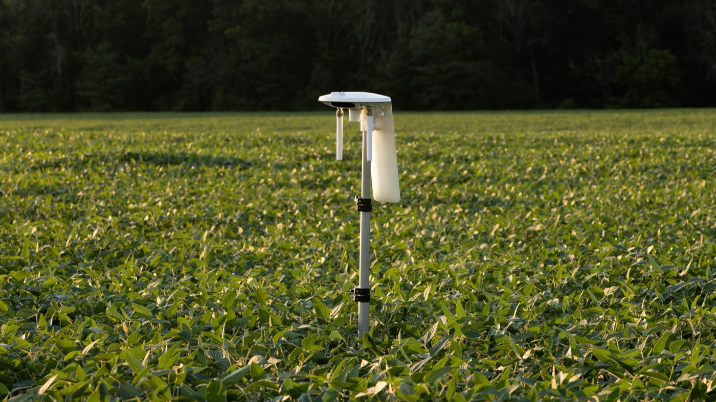 Arable Mark 3 sensor deployed in a field at dusk